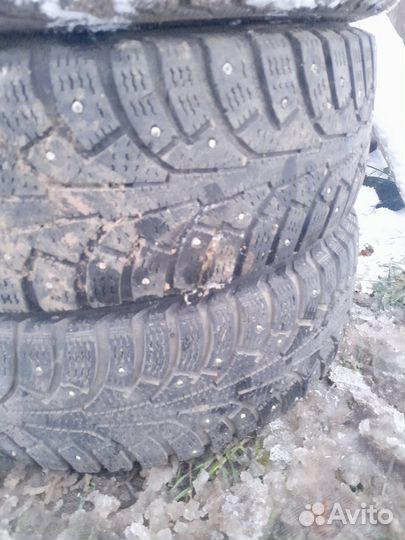 Nokian Tyres Hakkapeliitta 5 175/65 R14