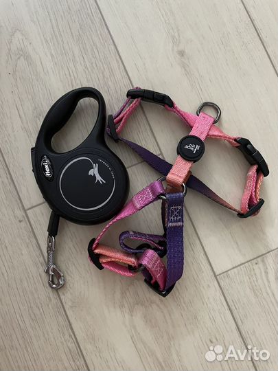 Поводок рулетка flexi xs лента 3м