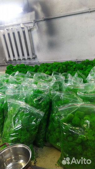 Стабилизированный мох. кг