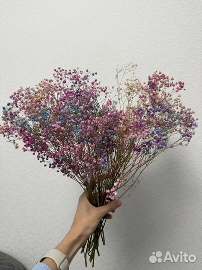 Гипсофила сухоцветы