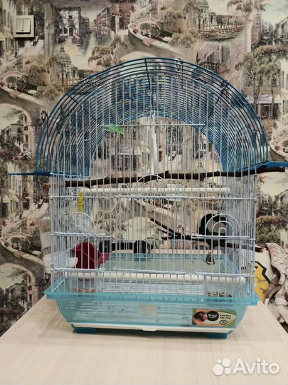 Клетка для волнистого попугая