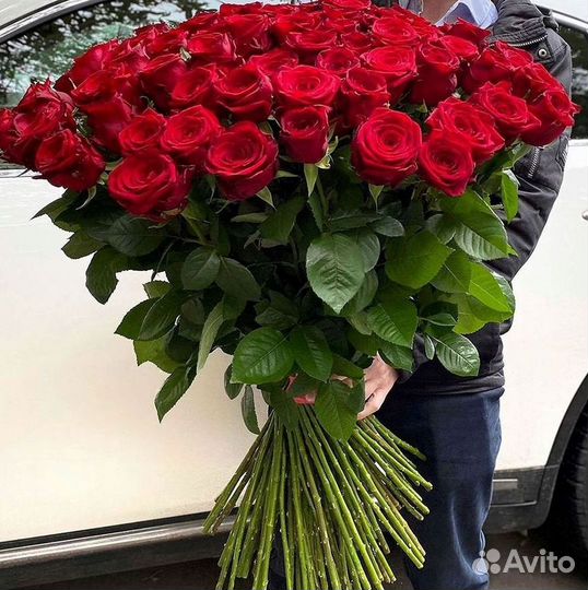 101 Роза Цветы Букеты 51 25 Роз Доставка