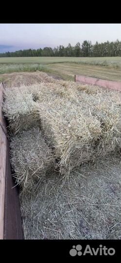 Сено и овес в тюках