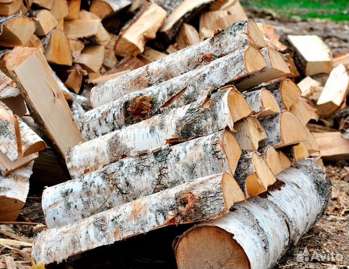 Дрова береза