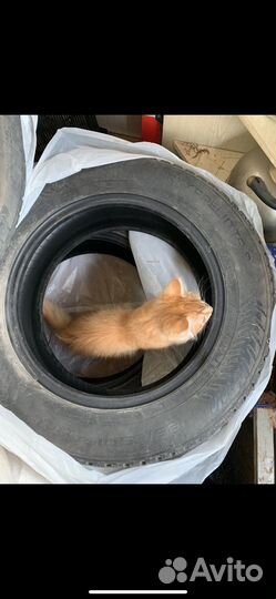 Nokian Tyres Hakkapeliitta 8 185/65 R15