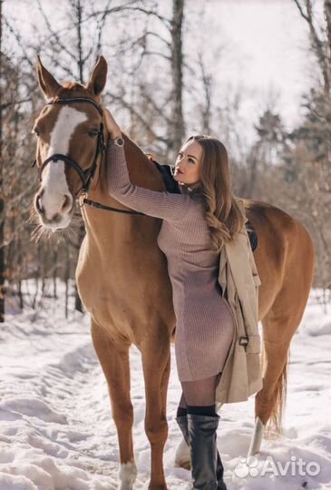 Донская кобыла для фотосессий