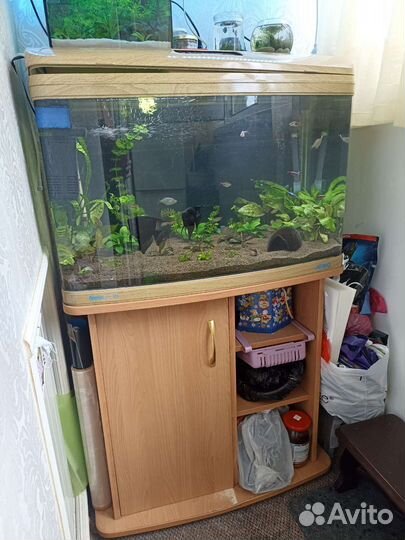 Аквариум Jebo