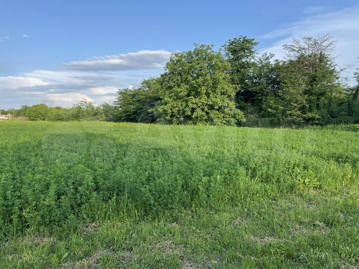 Участок 30 сот. (ИЖС)