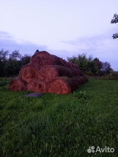 Сено в рулонах