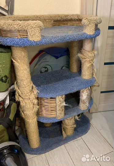 Домик когтеточка для большой кошки бу