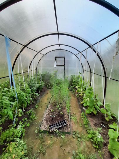 Участок 11,8 сот. (ИЖС)