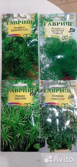 Семена комнатных цветов