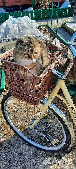 Велосипед дамский