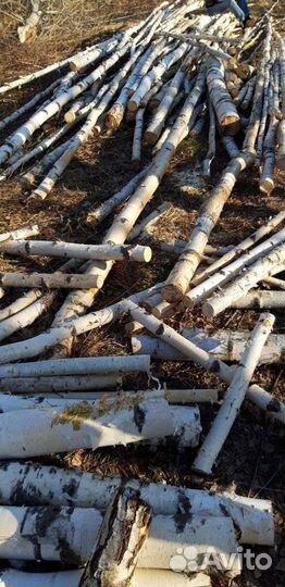 Бесплатно дрова берёзовые и кленовые