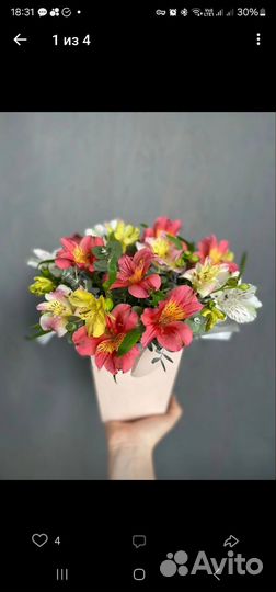 Альстромерия цветы живые букет доставка