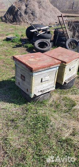 Продаются улья