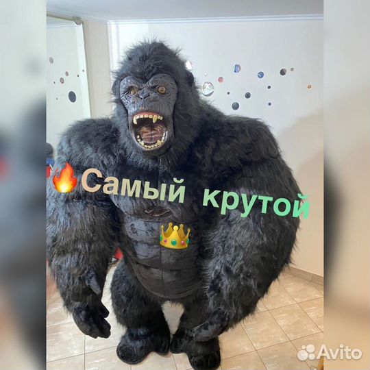 Горилла 2,6 метра