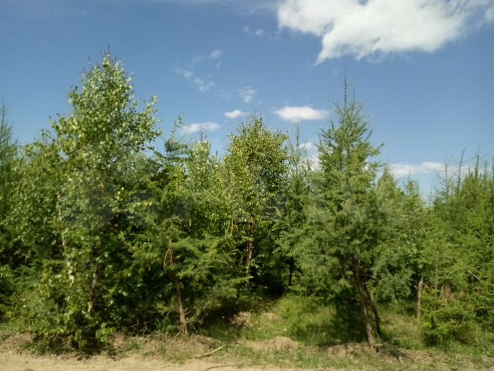 Участок 3,19 га (ИЖС)