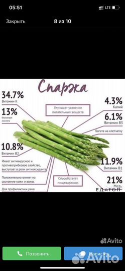 Рассада спаржи