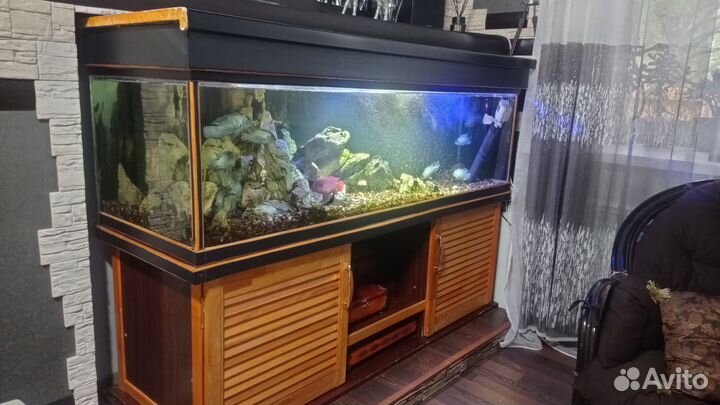 Аквариум
