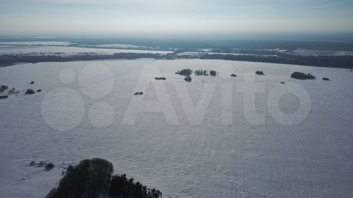 Участок 81,19 га (промназначения)