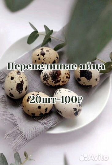 Яйца перепелиные инкубационное