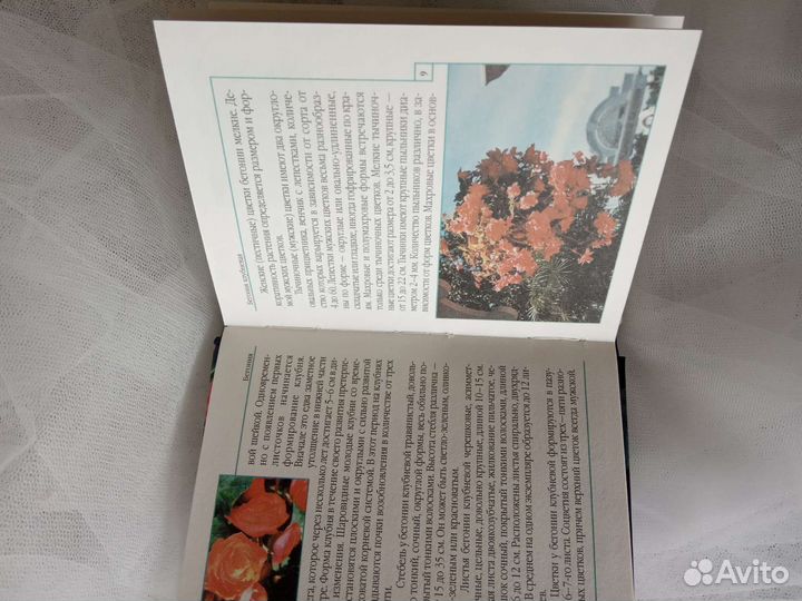 Книга по вышиванию бегоний