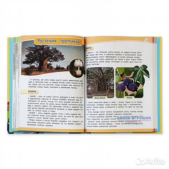 Полная энциклопедия дошкольника