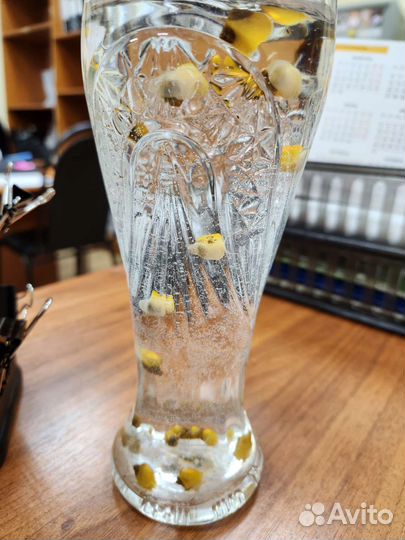 Улитки аквариумные ампулярии