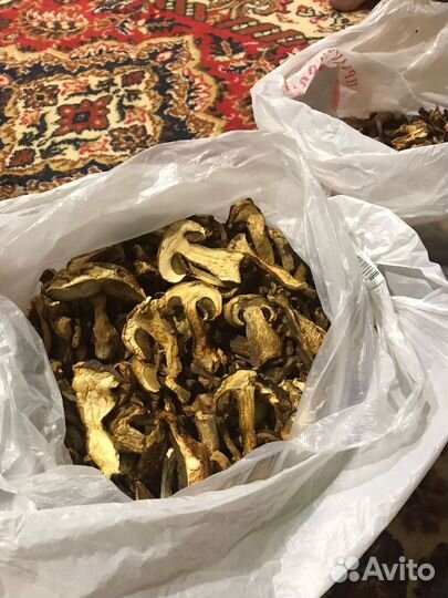 Белый гриб сушеный