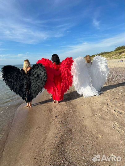 Крылья для фотосессии