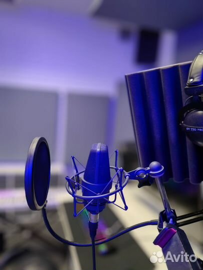 Студия звукозаписи Олеси Савицкой