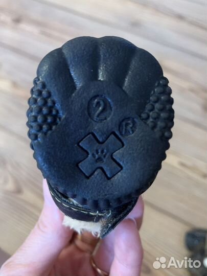 Ботиночки для собак мелких пород