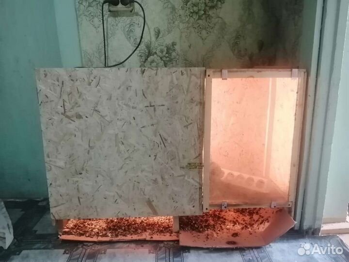 Изготовление брудера