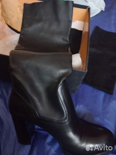 Сапоги женские демисезонные