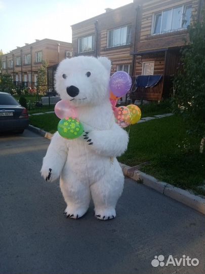 Белый мишка поздравление, аниматор, Ростовая кукла