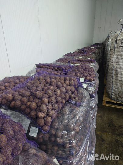 Картошка оптом