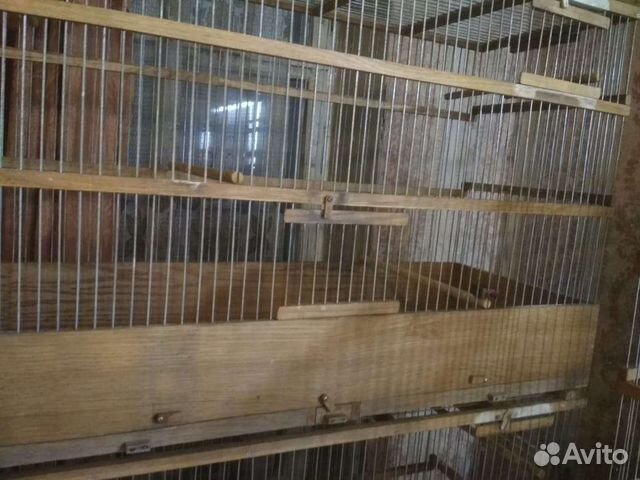 Клетки для птиц деревянные купить в Пушкино | Животные и зоотовары | Авито