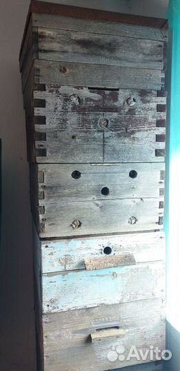 Пчеловодство