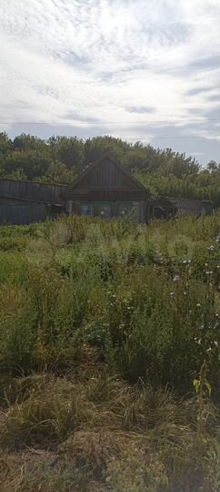 Дом 36 м² на участке 17 сот.