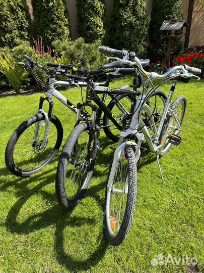 Прокат электровелосипедов, велосипедов