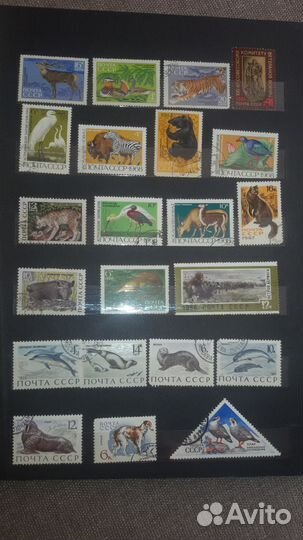 Коллекция марок