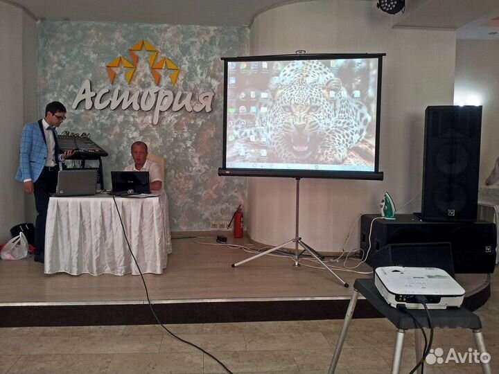 Аренда проектора и экрана с доставкой