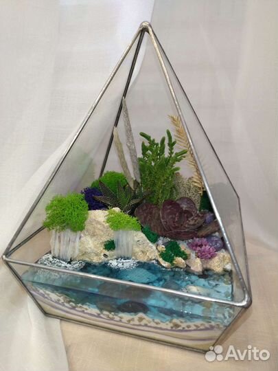 Флорариум/растения/цветы