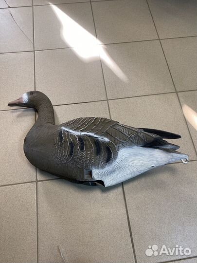 Чучело гуся белолобого на опоре SportPlast