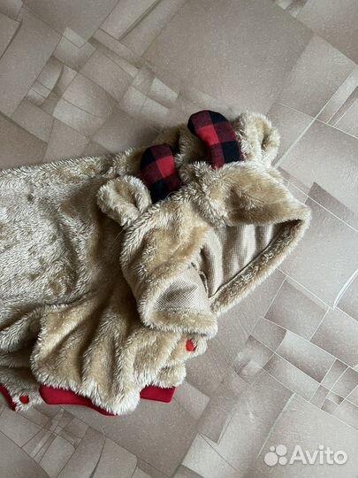 Одежда для собак