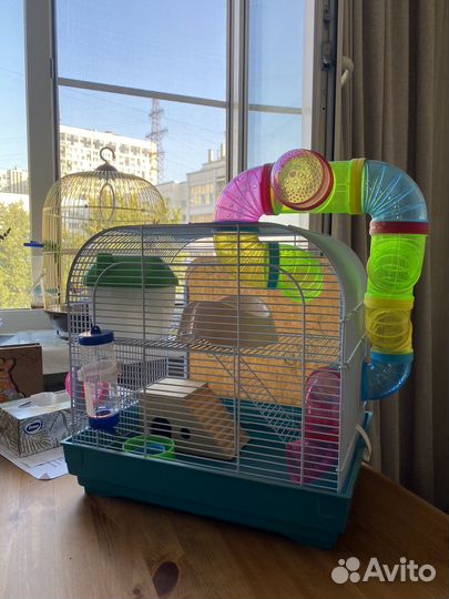 Клетка для грызунов