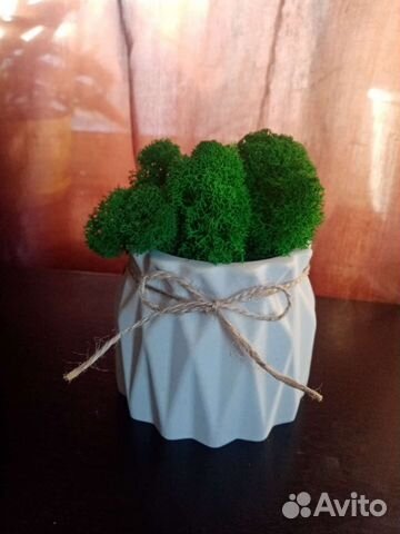 Кашпо, горшок для цветов (высота 9 см)