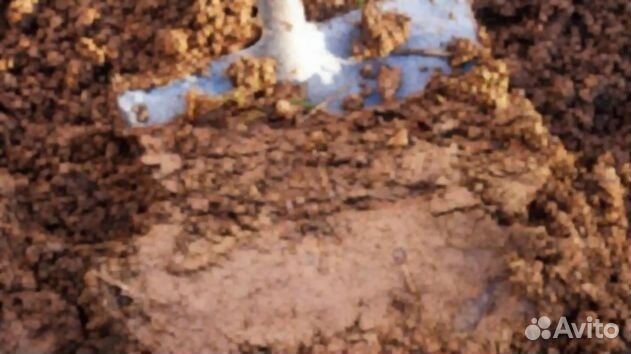 Торфосмесь