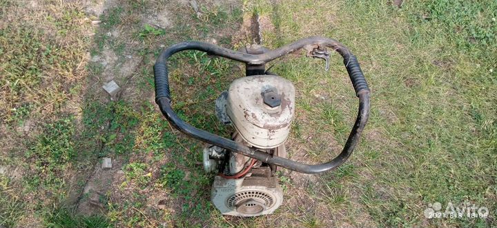 Пила дружба